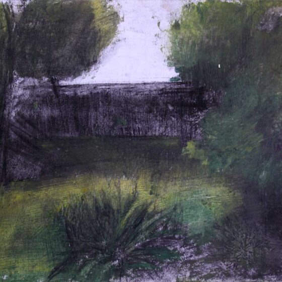 L'ombra in giardino, tecnica mista su carta (2020) - Debora Piccinini Artista